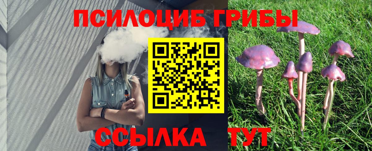 Галлюциногенные грибы мицелий Казань