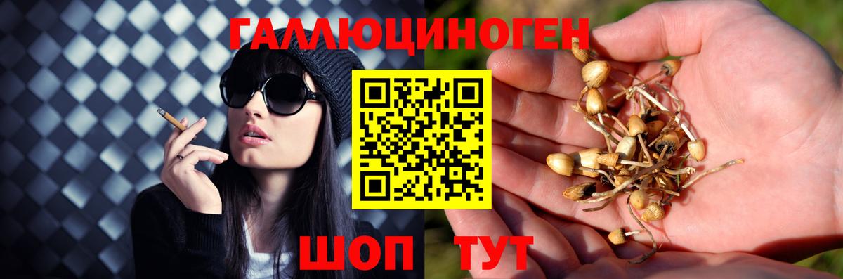 Галлюциногенные грибы MAGIC MUSHROOMS  Галлюциногенные грибы Cubensis  Казань  Вход с VPN 
